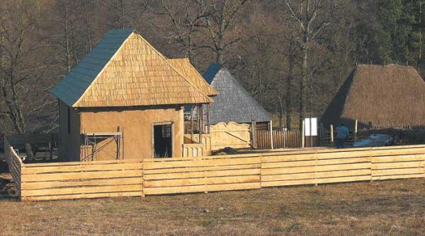 intoarcere la radacini