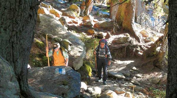 pastreaza azi pentru hotii de maine