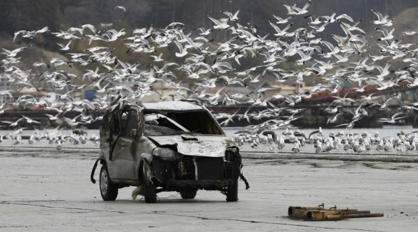 saptamana 2 8 aprilie in imagini sa fie pace in afganistan