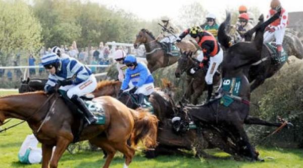 accident tragic in hipism doi cai morti si un jocheu in coma