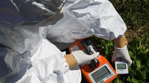 iod radioactiv in apa de ploaie si in laptele de oaie din romania