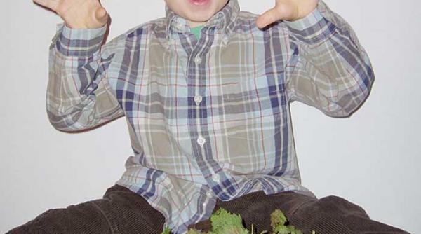 un strop intepator de sanatate