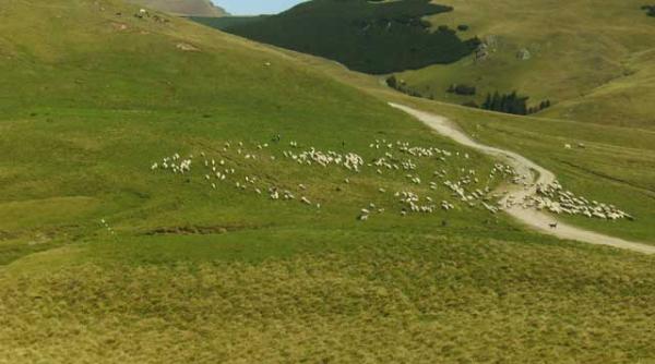 liber la asfaltarea ariilor naturale protejate