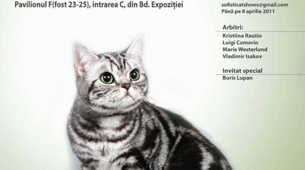 sofisticat de primavara