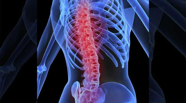 statul pe scaun si obezitatea chinuiesc coloana