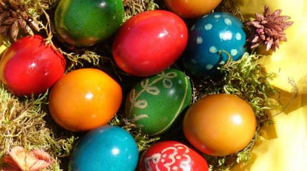 vine vine sa ne pregatim