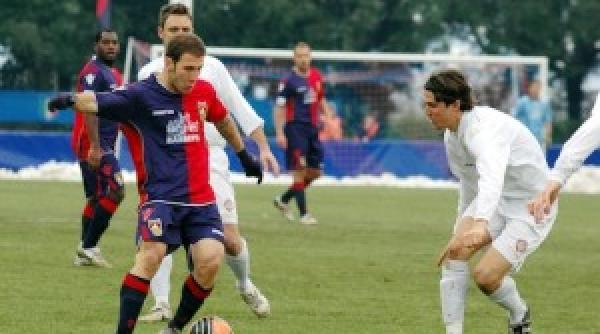 un meci din italia suspendat dupa invazia unui roi de albine