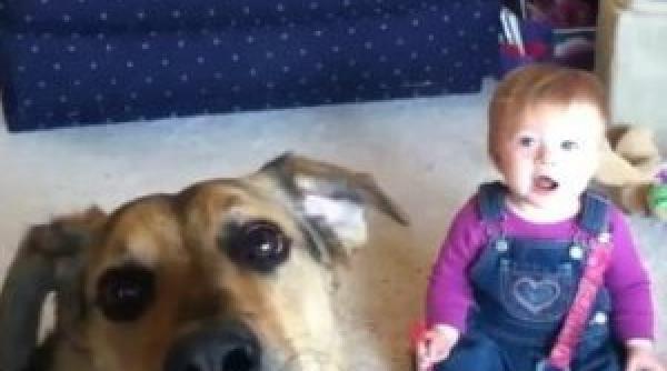 bebelusul care rade isteric video