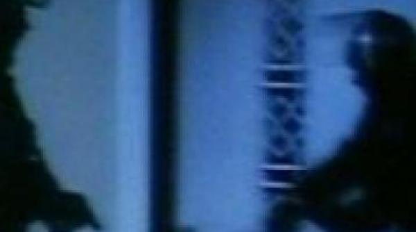 o retea interlopa din banat terorizeaza europa