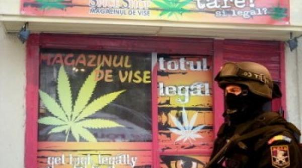 perchezitii la magazinele de etnobotanice din bucuresti si ploiesti