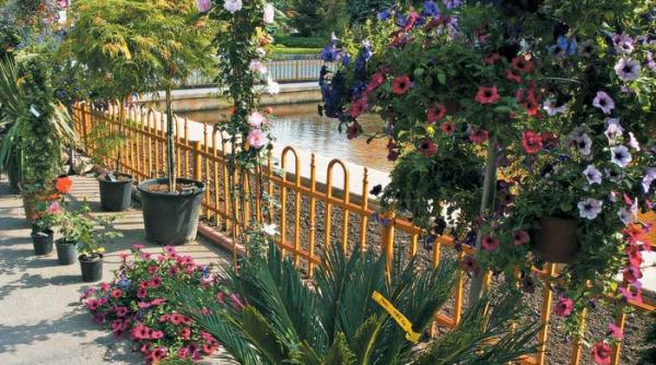 gradina de vara in mai