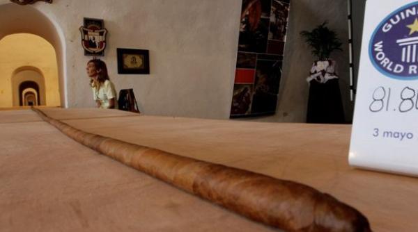 cel mai lung trabuc din lume masoara 81 8 metri