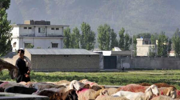 liderul al qaeda depistat si de cativa studenti americani