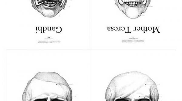 si craniile sunt celebre