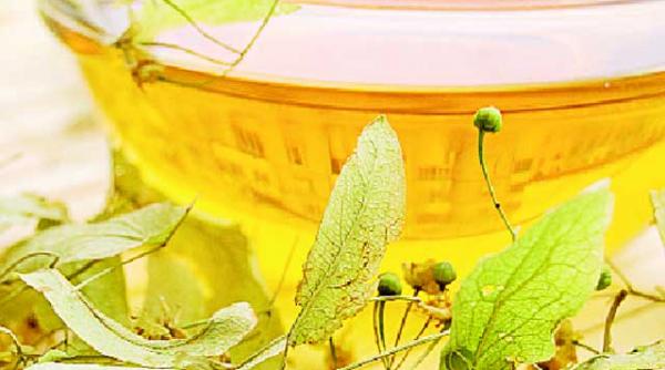 infuzie de tei contra aftelor