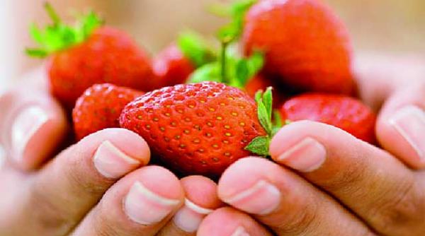 sa slabim cu cirese si capsuni