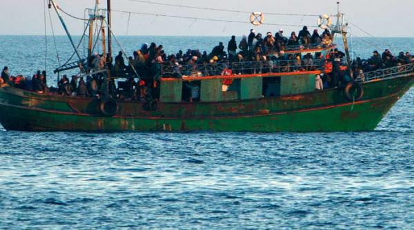 trafic cu disperarea