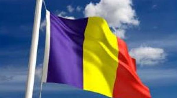 consulatul roman in olanda stam la dispozitia familiei nesu