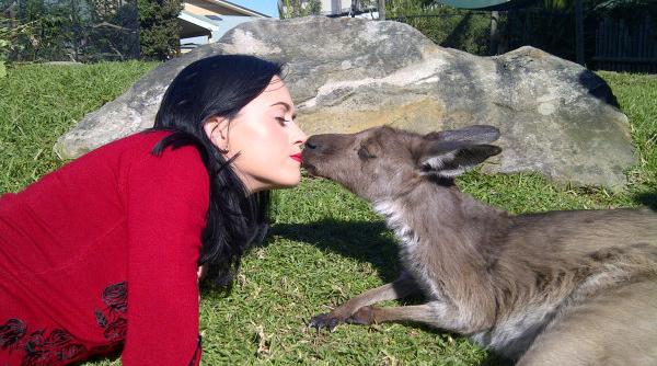 katy perry isi face de cap cu un cangur