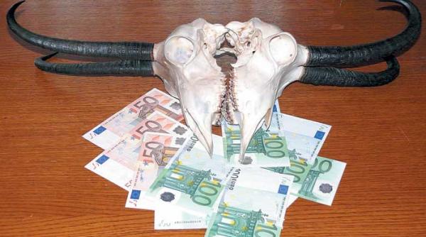 un gust amar comert cu trofeele mortii