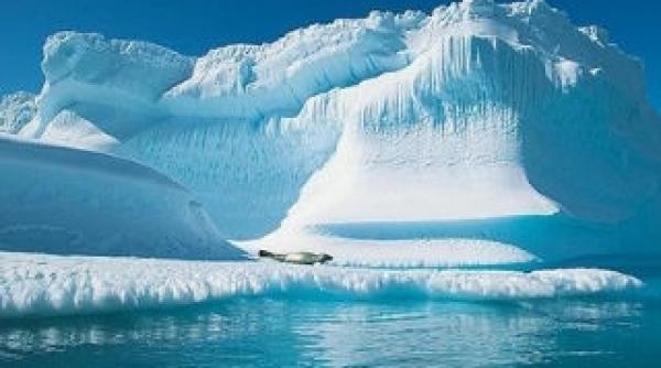 danemarca vrea sa alipeasca polul nord