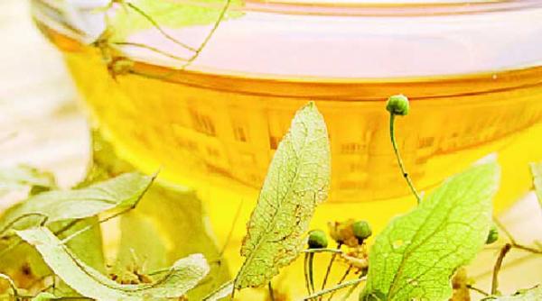 infuzie de tei contra aftelor