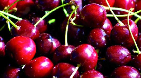 sa slabim cu cirese si capsuni