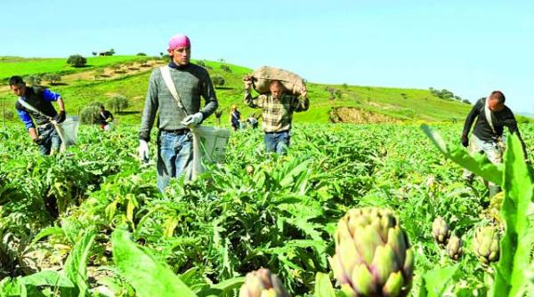 anghinarea si romanii