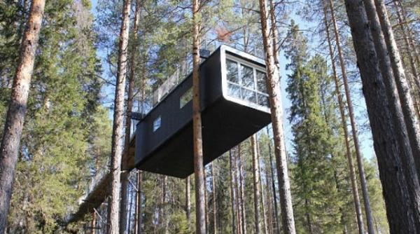 bine ati venit la hotelul din copac