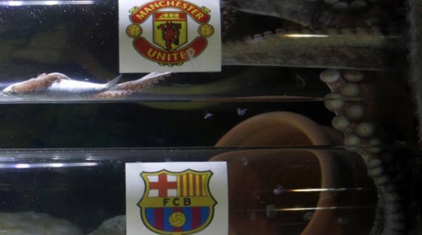 caracatita iker a prezis victoria lui manchester united in finala ligii campionilor