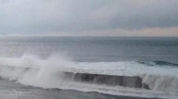 neglijenta criminala la fukushima