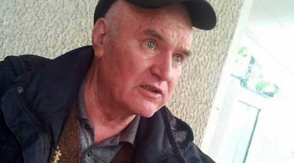 arestarea lui mladici cu felicitari si cabernet