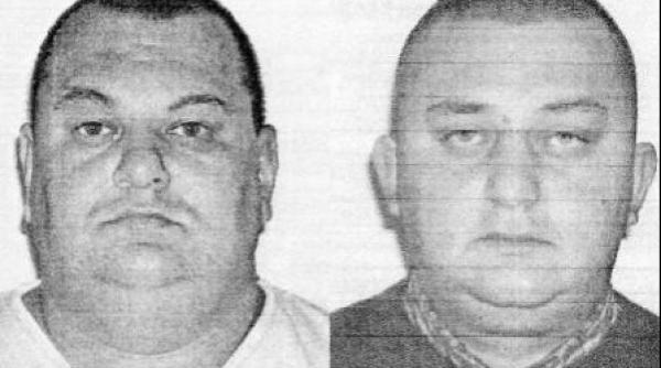 cretu cel viteaz si frunzaverde de aur