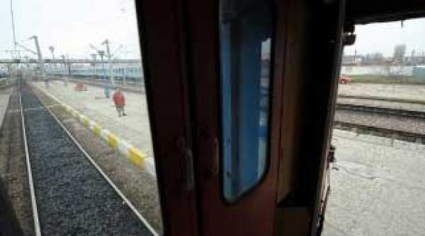 11 milioane de euro pierdute printre sine