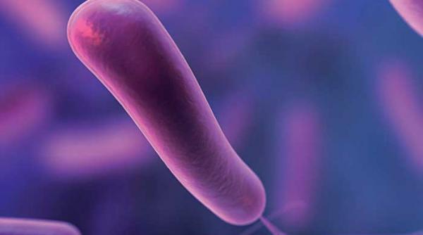 trei miliarde de oameni cu helicobacter pylori