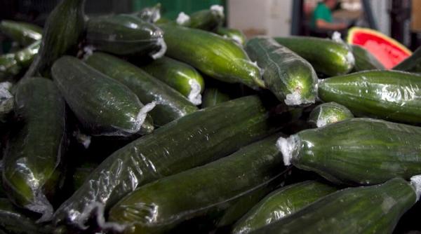 e coli face ravagii si in suedia