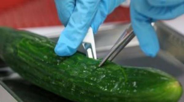 epidemia cu e coli nu a fost provocata de castravetii spanioli