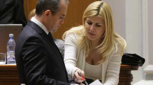 miniguvern pentru elena udrea