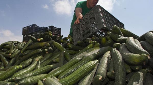 spania cere explicatii si daune in criza castravetilor