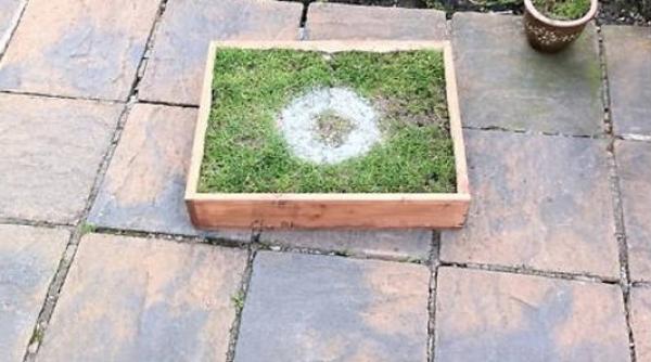 150 000 de lire pentru un punct de la 11 metri