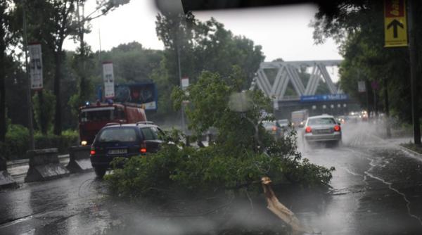 ploile torentiale si grindina au facut ravagii in tara