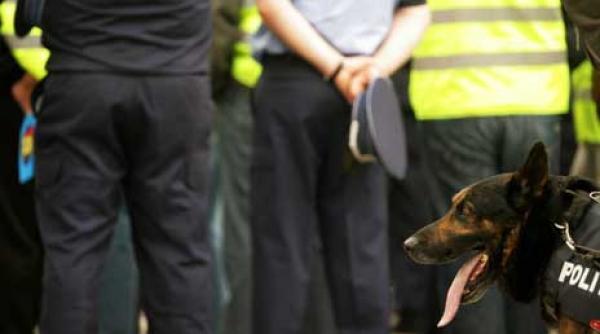 culmea politiei sa fugi dupa hoti cu tramvaiul reportaj in sectia in care cel mai elegant loc e arestul