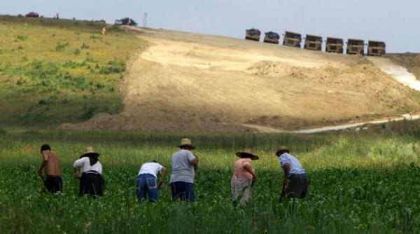 95 000 de romani castiga 1 280 de euro lunar muncind sezonier pe campurile germaniei