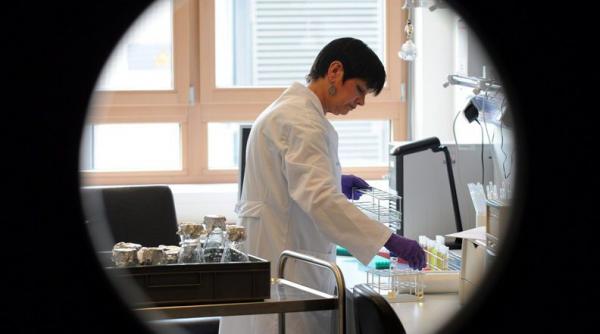 lupta impotriva bacteriei e coli dusa cu medicamente netestate