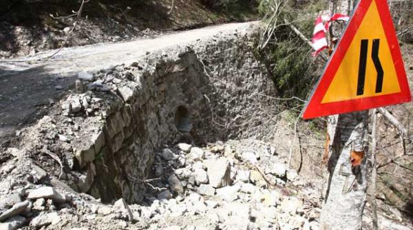 licitatia pentru atribuirea lucrarilor s a facut intr o graba suspecta a castigat o firma portocalie