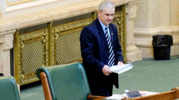 senatorul iordanescu incompatibil cu postul de director tehnic al frf