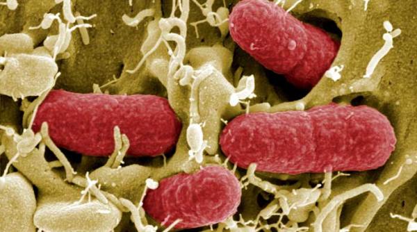 uniunea europeana pluseaza la despagubiri