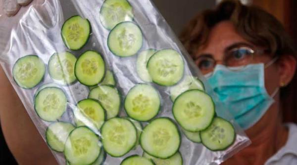 e coli un organism inteligent