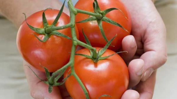 contra colesterolului rosii sau medicamente