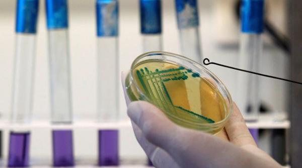 bilantul epidemiei de e coli a ajuns la 35 de morti